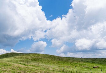 爽やかな高原の夏