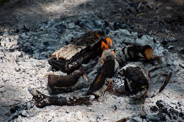 Closeup of campfire in nature