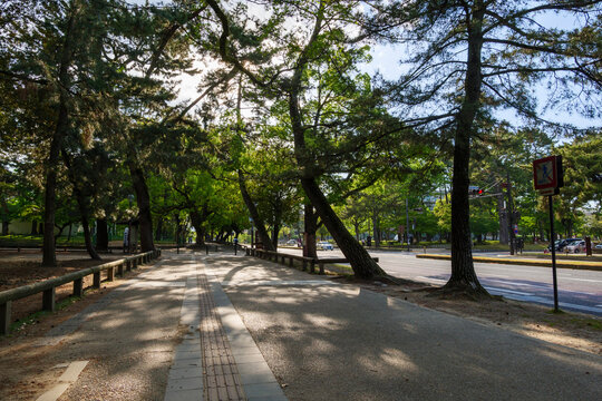 On May 13, 2020, at dusk, the number of tourists on the Nara Park Road was significantly reduced due to the declaration of a state of emergency by COVID-19.