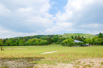 Fototapeta na wymiar Spring scenery of Nara Park with no tourists