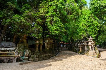 The approach to Kasuga Taisha's shrine, which has seen a significant decrease in tourists due to the declaration of a state of emergency following COVID-19 in Nara, Japan on May 13, 2020.