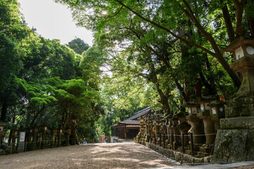 Fototapeta na wymiar The approach to Kasuga Taisha's shrine, which has seen a significant decrease in tourists due to the declaration of a state of emergency following COVID-19 in Nara, Japan on May 13, 2020.
