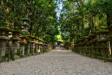 The approach to Kasuga Taisha's shrine, which has seen a significant decrease in tourists due to the declaration of a state of emergency following COVID-19 in Nara, Japan on May 13, 2020.
