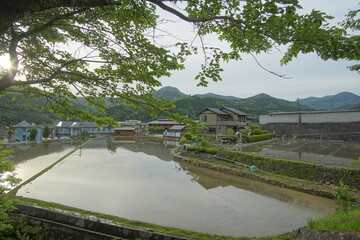 Fototapeta na wymiar typical landscape in countryside of Japan
