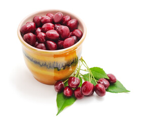 Red ripe cherries in a jug.