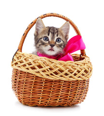 Naklejka na ściany i meble Little gray kitten in the basket.