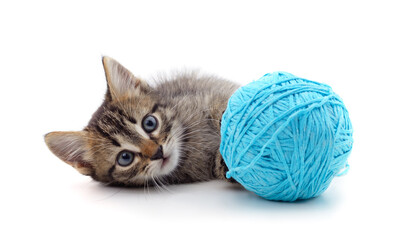 Gray kitten with a ball.
