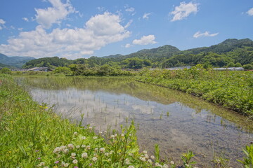 Obraz na płótnie Canvas typical rural landscape in Japan