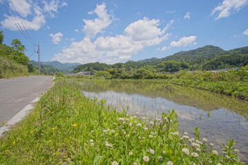 typical rural landscape in Japan