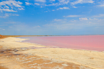 Fototapeta na wymiar View of the pink salty Syvash lake in Kherson region, Ukraine