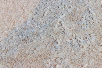 Natural salt crystal texture, macro, close-up. Salty lake shore background
