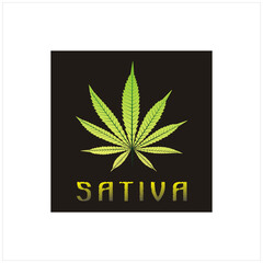 Single Hemp Pot Marijuana Cannabis sativa leaf  icon vector logo design