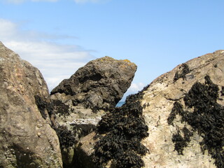 Rocks on the Beach