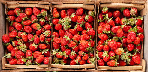 Strawberries in their drawer in the middle of the supermarket