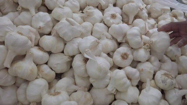 Slow motion of person of african ethnicity selecting garlic bulbs, allium, sativum, from a market stall