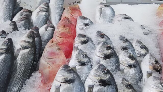 Zoom in and pan of assortment of fresh fish, including Seabass , Red Snapper and Sea Bream, displayed on ice in a UK fishmonger