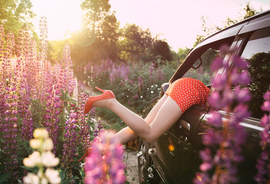 Beautiful women legs in а red high heeled with a red retro dress look out of the car in wild flowers on a sunset