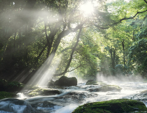 熊本　菊池渓谷　kikuchi river