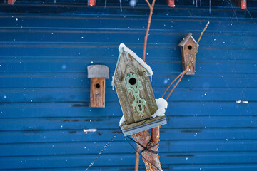 blue bird house on the winter