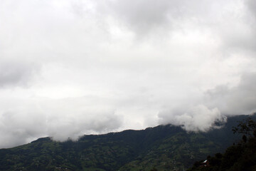 Beautiful green hill with forest and clouds in the sky