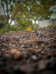 Combine the stone and beautiful scenes 