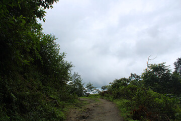 Local off road in the middle of the forest with cloudy sky
