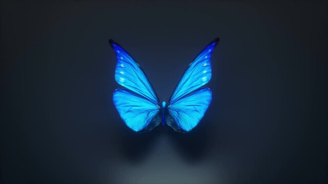 3d Animation of a beautiful blue colored butterfly, loop-able