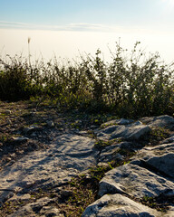 rocks in the mountains