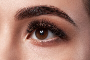 Obraz premium Beautiful macro photography of a woman's eye with extreme makeup of long lashes.