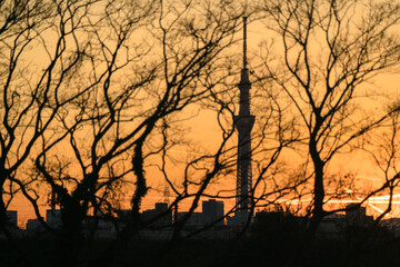 夕焼けと東京スカイツリー