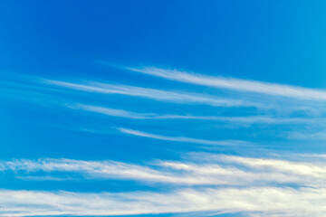Naklejka na ściany i meble Fluffy white cloud flying on blue sky background