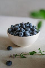Fresh ripe blueberry in ivory bowl with mint leaves 