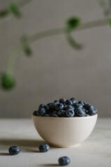 Dark macro of fresh blueberry in ivory bowl with mint leaves. Concept for healthy eating and nutrition. Antioxidant organic superfood