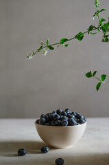 Fototapeta na wymiar Fresh blueberry in ivory bowl on white table with mint leaves. Ripe black berries isolated on grey background. 