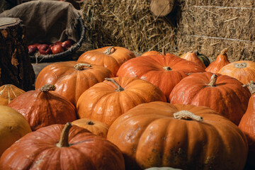 Beautiful pumpkins for Halloween lie on the wooden floor. Pattern.