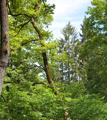Spaziergang um Brannenburg