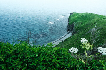 top view to the edge of a steep cliff with green grass and turquoise sea on a summer foggy day. Nature and outdoor concept.
