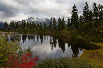 Beautiful lake in forest nearby of mountains in autumn overcast day