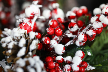 New Year main calendar holiday that occurs at moment of transition from the last day of year to first day of next year. Cones, fir tree and rowan twig in snow for home decoration. Celebrate winter