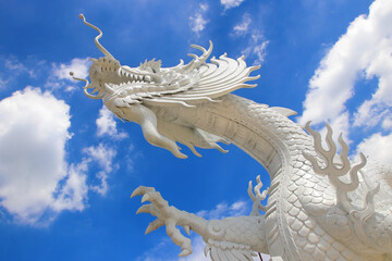 white dragon with beautiful sky background