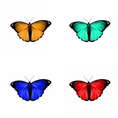 set of butterflies