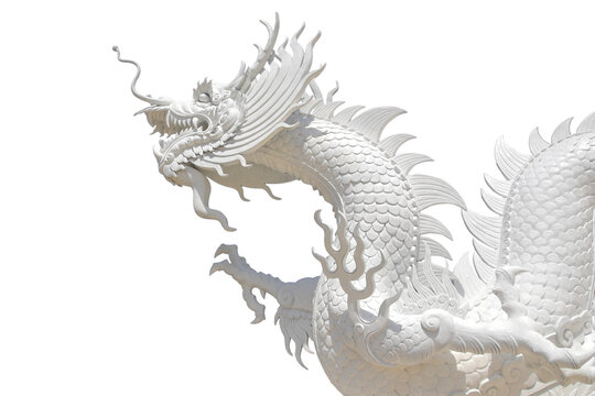 white dragon isolated on white background