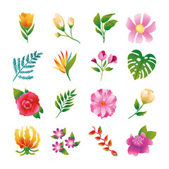 bundle of beautiful flowers and leafs icons