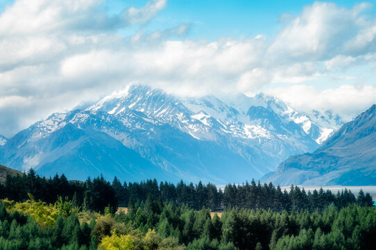 Close-up view of snow-capped Mount Cook engulfed in clouds, on the shore of Lake Pukaki, in New Zealand, South Island, on a beautiful summer day with coniferous trees in the foreground.