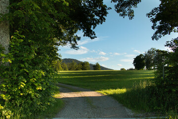 Feldweg bei Gmund am Tegernsee