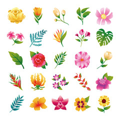 bundle of beautiful flowers and leafs icons