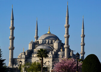 Fototapeta na wymiar Hagia Sophia mosque in Istanbul. Famous Byzantine Church 