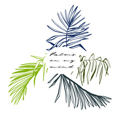 Tropic quote and palm leaves. Tropical jungle exotic botanical floral illustration. Vector line drawn tropical leaves. Hand drawn contour sketch on white background.