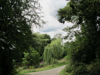 road in the park