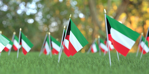 Small flags of Kuwait in the grass. National holiday related 3D rendering